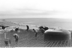 Bild 101I-295-1586-31A