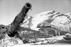 Bild 101I-116-0336-23