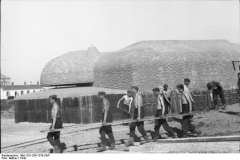 Bild 101I-259-1379-24A