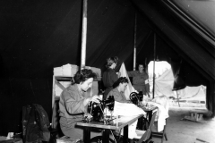 p000773.jpg