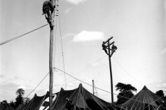 p000775.jpg