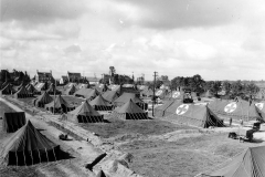 p000777.jpg