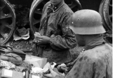 Bild 101I-024-3535-22