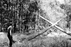 p012000