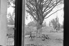 LC001935