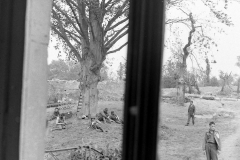 LC001936