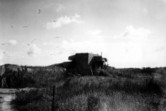 p012493.jpg
