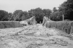 p013336