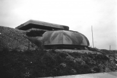 p001196