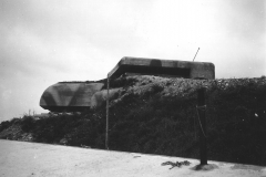 p001197