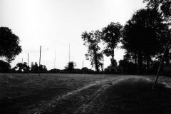 p011859.jpg