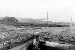 p013299.jpg