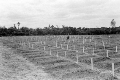 LC001797