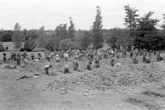 LC001004