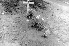 LC001891