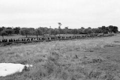 LC001629