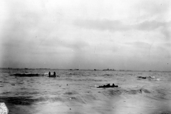 p000859.jpg