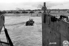 p011954