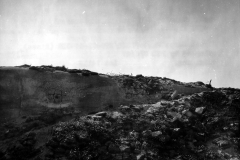 p011966.jpg