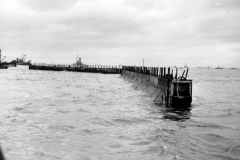 p012694.jpg