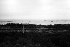 p001194.jpg