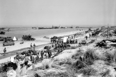 p011351