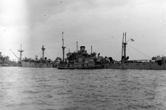 LC001736