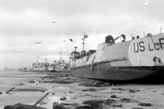 LC001664