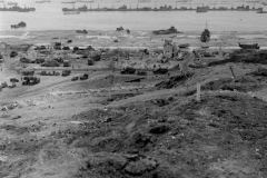 LC001695