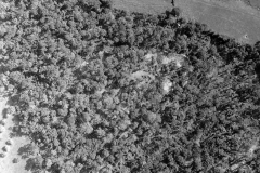 p011519