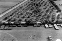 p011940.jpg