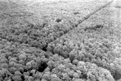 p000386