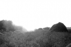 p010704.jpg