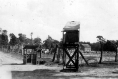 p004928