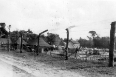 p004929
