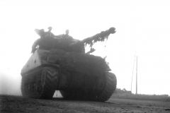 p010695.jpg
