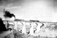 p011795