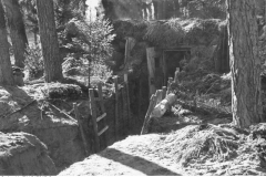 Bild 146-1990-103-12