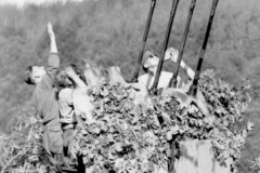 Bild 101I-022-2926-37