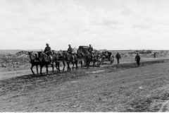 Bild 101I-290-1138-04