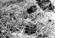 Bild 101I-297-1728-13