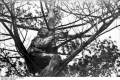 Bild 101I-297-1728-22