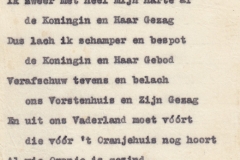 Illegale Flyertjes (11)