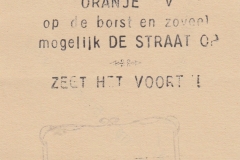 Illegale Flyertjes (3)