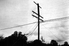 p011864.jpg