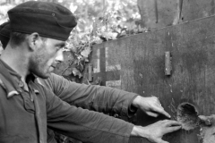 Bundesarchive WW2museum Online German Tanks (10)