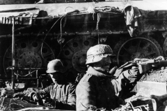 Bundesarchive WW2museum Online German Tanks (113)