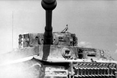 Bundesarchive WW2museum Online German Tanks (50)