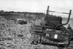 Bundesarchive WW2museum Online German Tanks (64)